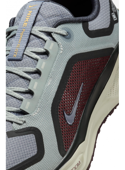 Buty Nike Pegasus 41 GORE-TEX -  FQ1356-003